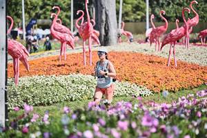 BIB: 
                            <button type="button" onclick="openModal(27794093)" class="btn btn-primary btn-sm float-right btn-popup" data-toggle="modal" data-target=".modal-high-quality">
                        <i class="fas fa-shopping-cart"></i> Add to Cart
                    </button>
                                            <button type="button" onclick="isThisMe(27794093, true)" class="btn btn-success btn-sm float-right btn-popup btn-isme hidden" data-toggle="tooltip" data-placement="bottom" title="นี่คือรูปของคุณใช่ไหม คลิกที่นี่เพื่อเอาเข้าอัลบั้ม">
                        <i class="fas fa-plus"></i> Add to album
                    </button>
                    <button type="button" onclick="isThisMe(27794093, false)" class="btn btn-warning btn-sm float-right btn-popup btn-isnotme hidden">
                        <i class="fas fa-ban"></i> Remove from album
                    </button>